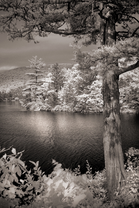 Dodie's Lake 3 Wingdale, NY � Dave Hickey